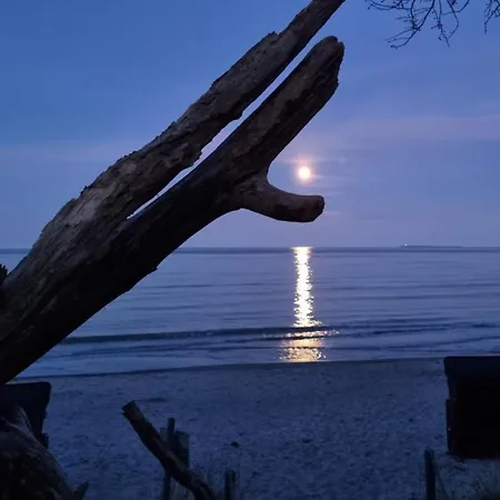 Traumhaftes - Odins Blick 18 - Mit Terrasse, Privatstrand, Sauna *