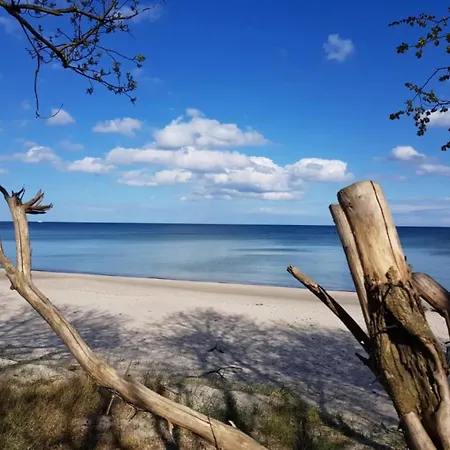 Traumhaftes - Odins Blick 18 - Mit Terrasse, Privatstrand, Sauna Lobbe